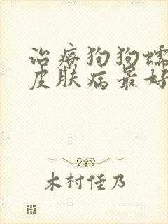 治疗狗狗蠕形螨皮肤病最好的药