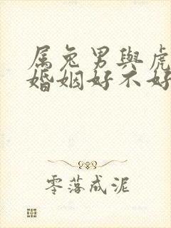 属兔男与虎女配婚姻好不好