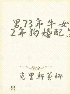 男73年牛女82年狗婚配怎么样封面