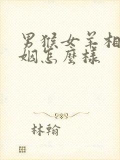 男猴女羊相配婚姻怎么样