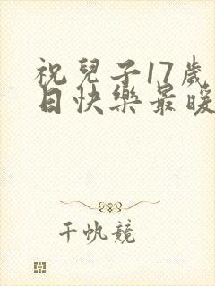 祝儿子17岁生日快乐最暖心的短句