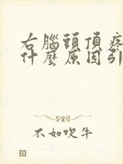 右脑头顶疼痛是什么原因引起封面