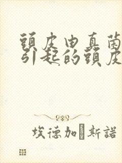 头皮由真菌感染引起的头皮屑怎么治封面