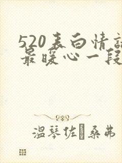 520表白情话最暖心一段话