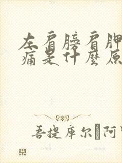 左肩膀肩胛骨疼痛是什么原因封面