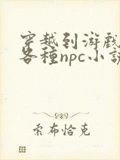 穿越到游戏里和各种npc小说