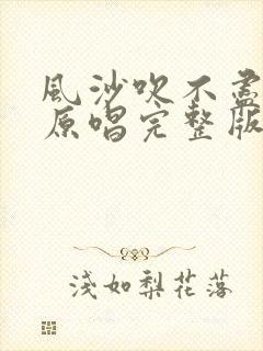 风沙吹不尽岁月原唱完整版封面