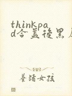 thinkpad合盖后黑屏无法唤醒