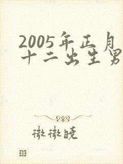 2005年正月十二出生男孩命运封面