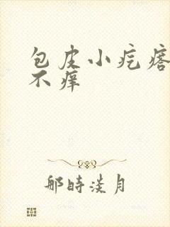 包皮小疙瘩不疼不痒封面