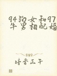 94狗女和97牛男相配婚姻如何