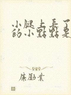 小腿上长了紫色的小点点是怎么回事封面