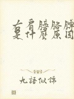 右肩膀胳膊疼痛是什么原因封面