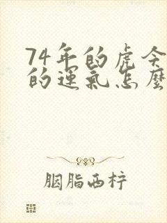 74年的虎今年的运气怎么样