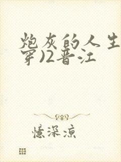 炮灰的人生(快穿)2晋江