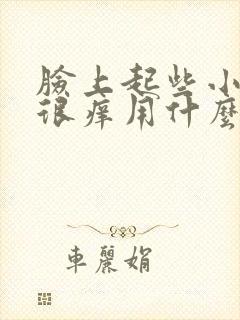 脸上起些小疙瘩很痒用什么药