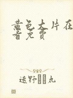 黄色大片在线观看免费