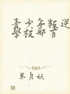 青少年叛逆特训学校哪有