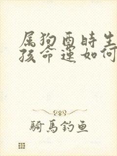 属狗酉时生的男孩命运如何