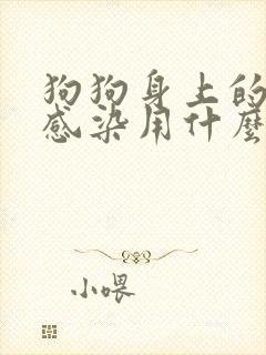 狗狗身上的真菌感染用什么药好得快