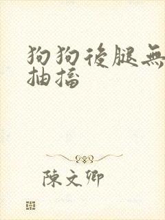 狗狗后腿无力还抽搐