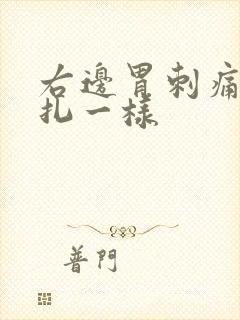 右边胃刺痛像针扎一样封面