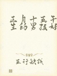 正月十五午时出生的男孩好吗