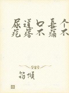 尿道口长个小肉疙瘩不痛不痒