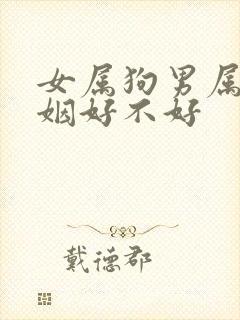 女属狗男属羊婚姻好不好封面