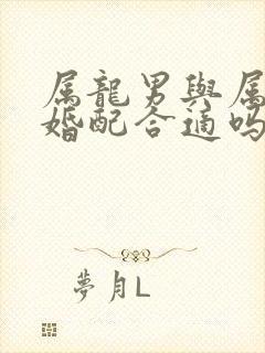 属龙男与属龙女婚配合适吗