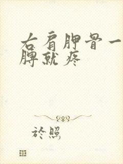 右肩胛骨一抬胳膊就疼