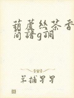 葫芦丝茶香夜雨简谱g调