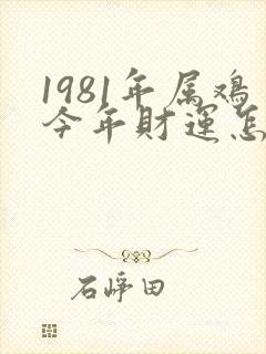 1981年属鸡今年财运怎样