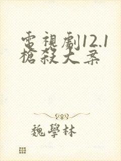 电视剧12.1枪杀大案