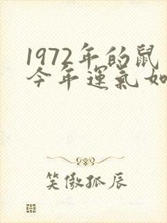 1972年的鼠今年运气如何