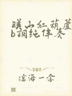 映山红葫芦丝降b调纯伴奏