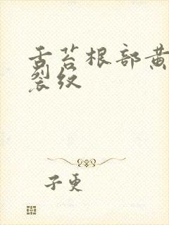 舌苔根部黄腻有裂纹