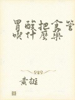 胃酸把食管烧了吃什么药