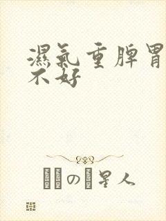 湿气重脾胃运化不好封面