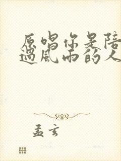 原唱你是陪我走过风雨的人