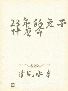 23年的兔子是什么命