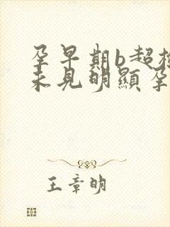 孕早期b超检查未见明显孕囊