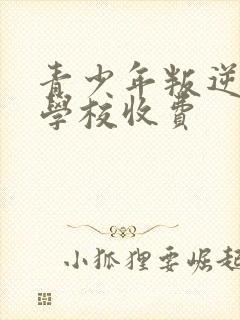 青少年叛逆特训学校收费