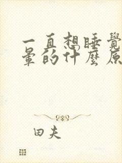 一直想睡觉头晕晕的什么原因