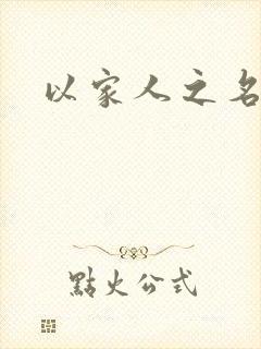 以家人之名小说
