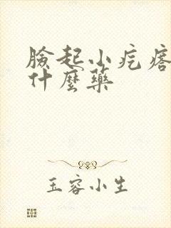 脸起小疙瘩痒用什么药