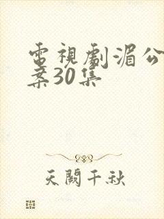 电视剧湄公河大案30集封面