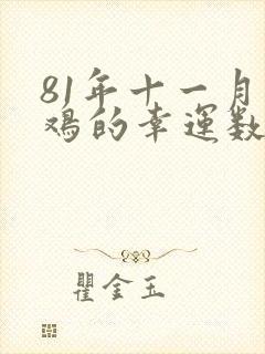 81年十一月属鸡的幸运数字