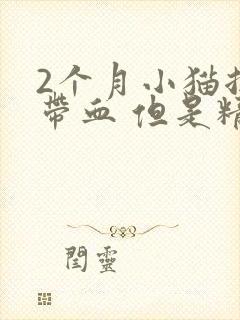 2个月小猫拉稀带血 但是精神很好封面