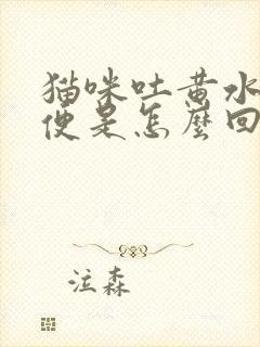 猫咪吐黄水拉软便是怎么回事